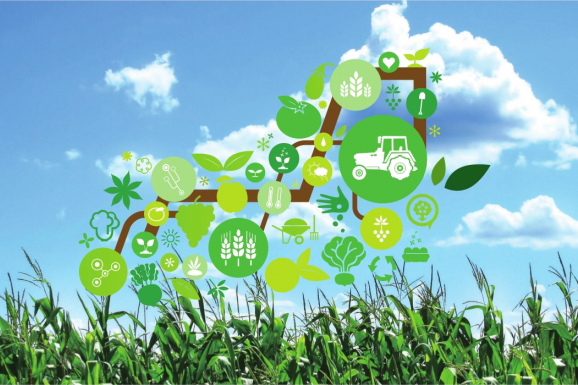 Internet of Things IoT Landing 11 Smart Agriculture and Hydroponic Farming Solutions