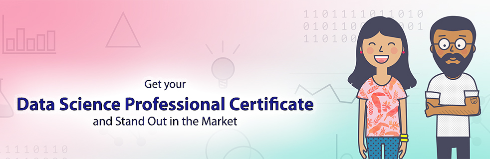 Data Science Professional Certification Program 8 DS Training Summer Mobile